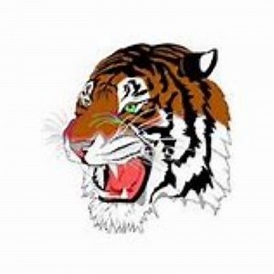 McKeesport High School • Schedule