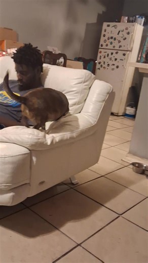 ✨️Homemade Spaghetti 🍝 & Fried Fish 😋 | Danielle Stapleton