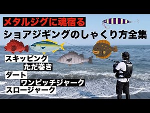 初心者必見！なんでも釣れるショアジギングのしゃくり方