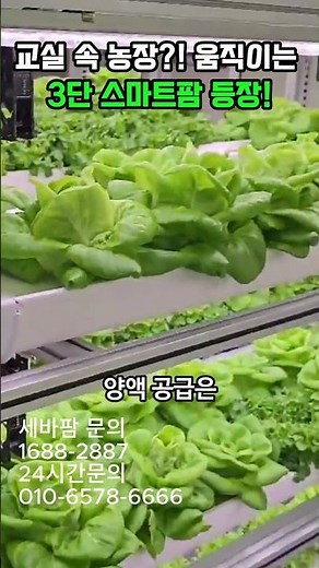 교실 속 농장! 움직이는 3단 스마트팜 등장!
