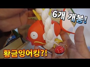 포켓몬스터 CGV 운수대통 잉어킹 풍경! 이로치 황금잉어킹이?!