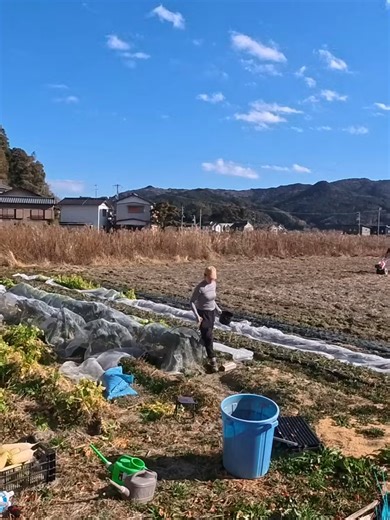 【古民家に住もう#310】風邪を引いた母が力を振り絞って家の周りを整えていく #04