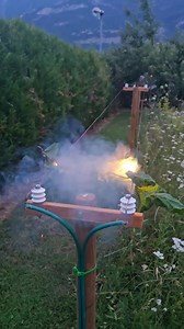 231K views · 1.3K reactions | 2000 volts vs branch in action | Terry Akinyi | Facebook