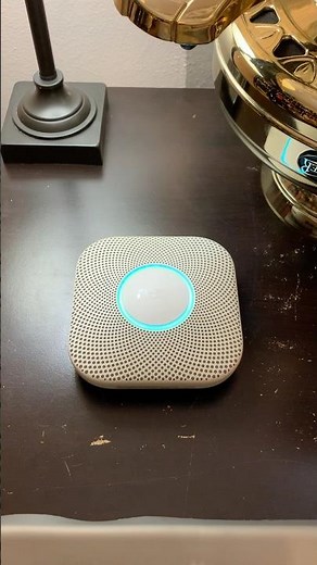 [300 SUB SPECIAL] Google Nest Protect 2.0 Smoke/CO Alarm Test #nestprotect #300subspecial #shorts