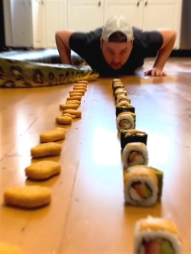 Funny Dog Race Competition