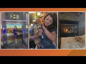 WFAA Traffic Anchor Erica Lopez joins Daybreak on 1.19.26