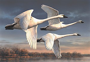 Walleye Slam, Fall Brawl ready to go: NE Ohio fishing report