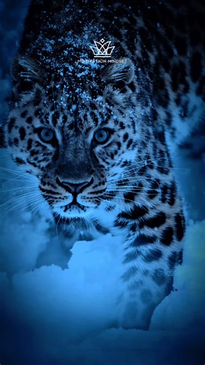 6 Règles de Motivation pour Réussir en 2024