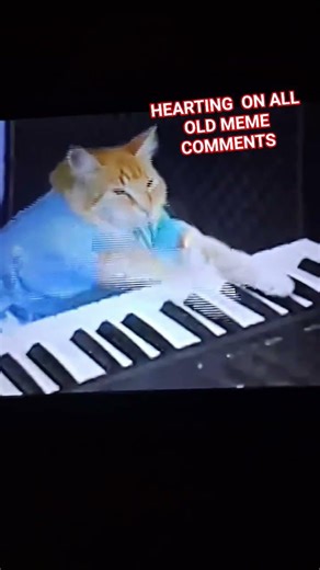 #cat #piano #greatmemereset keyboard cat/ piano cat