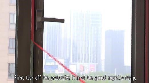 Paste version installation steps