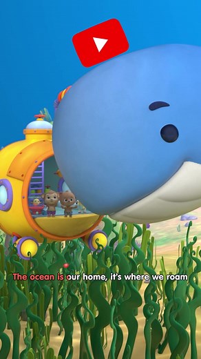 Discover Whales Through Our Educational Song!