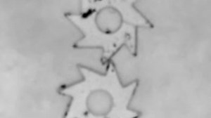 Groups of bacteria shown to power simple machines, turn gears in synchronous movement