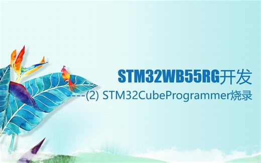 STM32WB55RG开发(2)----STM32CubeProgrammer烧录