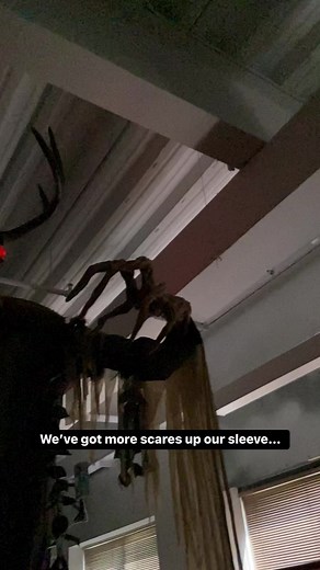 17K views · 79 reactions | Coming early fall 2023  Click the link to see what’s lurking… bit.ly/43QkJLz | Party City | Facebook