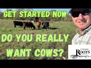 Start a Cow/Calf Herd, Start Raising Cattle