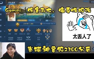 【Cat】当猫神成功晋级2300分后，Gemini：伤害不大，侮辱性极强！