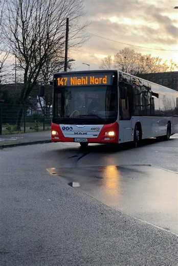 Busfahren auf der 147 Linie nach Niehl Nord