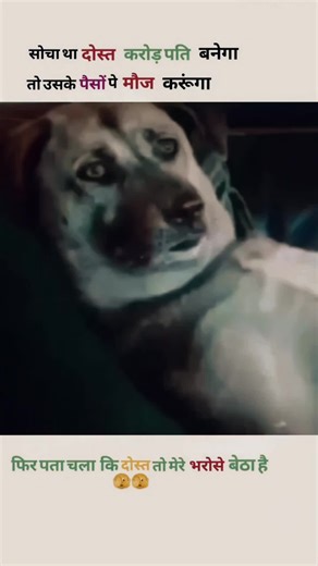 Funny Memes Highlighting Friendship Goals