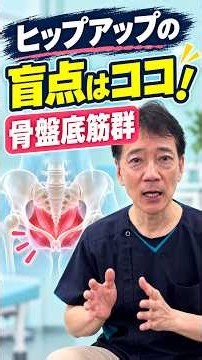 効率よくヒップアップを目指すなら骨盤底筋群を見直してください。
