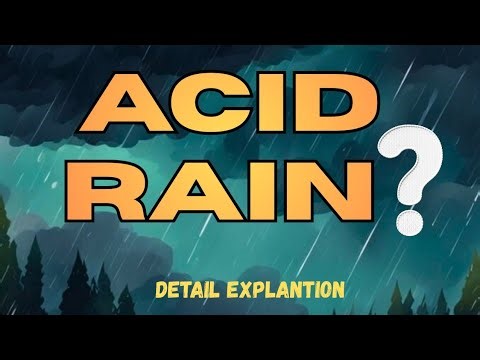 What Is Acid Rain? | Acid Rain Explained in Detail | Causes, Effects & Prevention