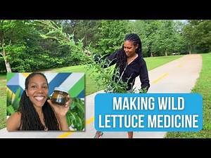 Unlocking the Power of Wild Lettuce: Discover Its Pain Relieving Benefits and Uses!