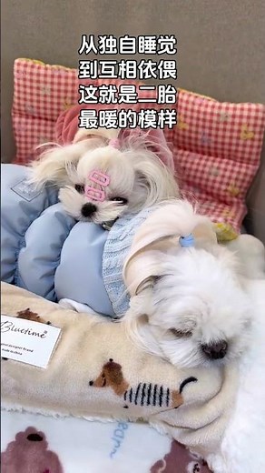 Two Little Sleep Monsters Snuggle Up - Heartwarming Sleep Scene