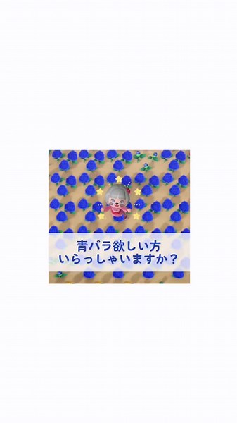 あつ森のお花屋さんで青バラを手に入れよう🌸