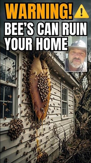 Carpenter bee damage gets exponentially worse #pestcontrol #diy