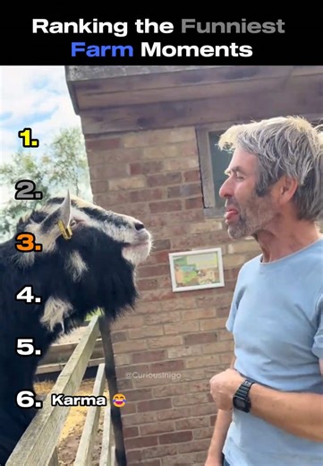 Hilarious Ranking of Funniest Farm Moments