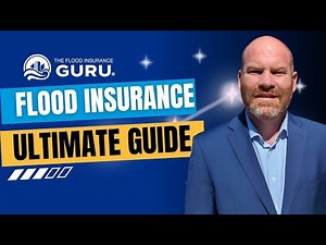 Flood Insurance 101: What You Need To Know (2024)