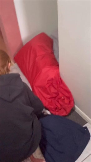 What’s under the door snake?! 🐍 🚪 This sweet little Green Tree Snake snuck in through the garage door and made himself cosy in the corner under a door snake! How pretty?!?!? #commontreesnake #qld #snake #australia #snakecatcher #wildlife #reptile #nonvenomous #viral #trending #cute #wildlife #snakes | Sunshine Coast Snake Catchers 24/7