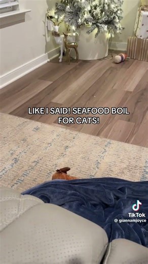 Do cats deserve seafood boils?🐟🐠🐱 #seafood #cat #fyp #lol