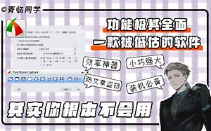 功能极其全面！但你真的会用 FSCapture 这款被低估的截图录像软件吗？