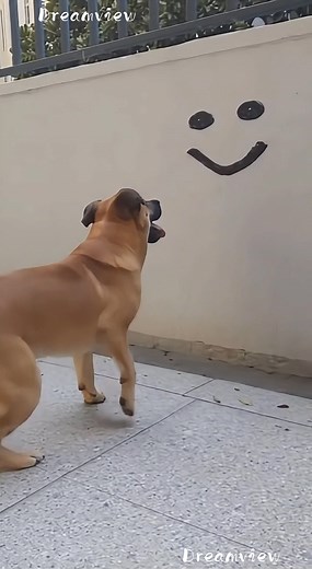 The Pure Joy of This Dog Meeting a Wall Drawing 🥰🐶😂 😂 100% AI video for fun & laughs! Every scene is digitally created — no real animals, babies, or people. 🐾 Enjoy and share! 🚫 No reuploads. #AIreel #AIfunny #AIanimals #AIfun #CreativeAI #AIvideo #AImagic | Dreamview Productions