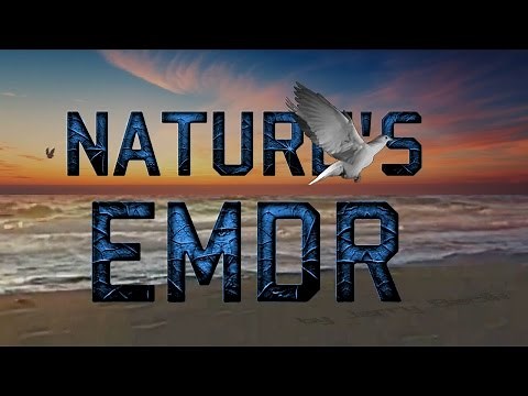 Nature's EMDR OCEAN WAVES
