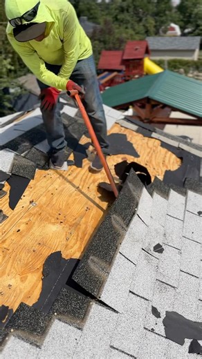 Roofer tearing off shingles with a roofing shovel! 🏡 #roofing #construction