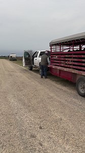 356K views · 3.3K reactions | Let’s just say its been a fun morning  #Truck #Chevrolet #Transmission #KeepRanchin | Bar 7 Ranch | Facebook