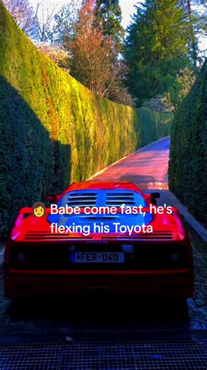 Why the Corolla is More Reliable Than a Ferrari