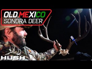 OLD MEXICO | SONORA MULE DEER! | E07