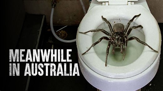 Surviving Australia’s most deadly animals