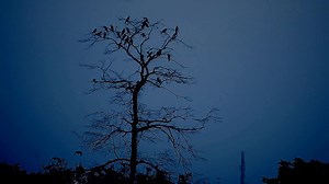 852K views · 22K reactions | December is the month of quiet heartbreaks, where the cold speaks the words we never could; soft lights and heavy hearts walking side by side; fading warmth, both in the air and in the promises we held; lonely winds whispering the names we try to forget; quiet tears hidden behind foggy windows. Yet, January enters with the courage to rewrite what December left undone. #FridayFeeling #fridaynight | Tales of a viewfinder | Facebook