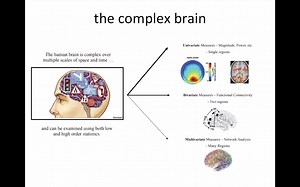 Introduction to Brain Network Analysis - Part 1