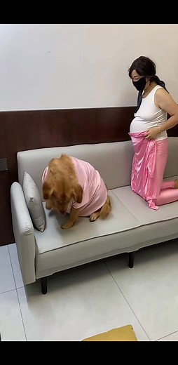 The ground is too cold, it's warmer to sleep on the sofa | Mt.tv