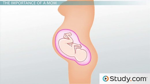 Ductus Arteriosus | Function, Closure & Location