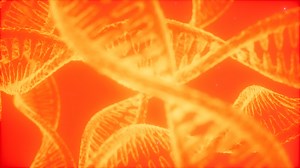 structure of the DNA double helix animation