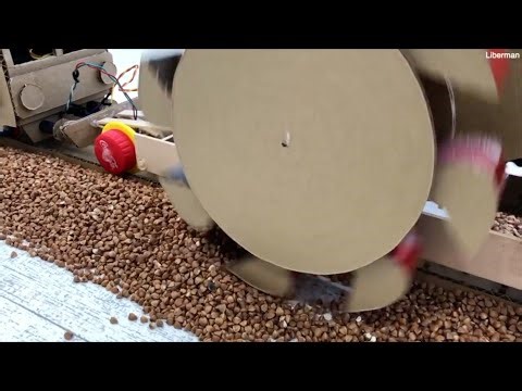 How an Abandoned Train Bridge Found New Purpose