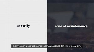 Tarantula Enclosure Setup