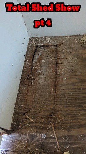 183 reactions | Killer Bee Guy on Reels | Facebook