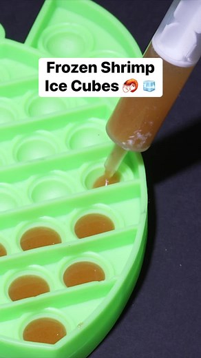 I Made Shrimp Ice Cubes 🦐🧊 | Aquarium Info