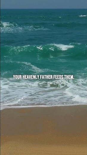 JESUS' COMFORTING WORDS FOR ANXIETY | Matthew 6:25-33 | Encouraging Bible Verses of the Day